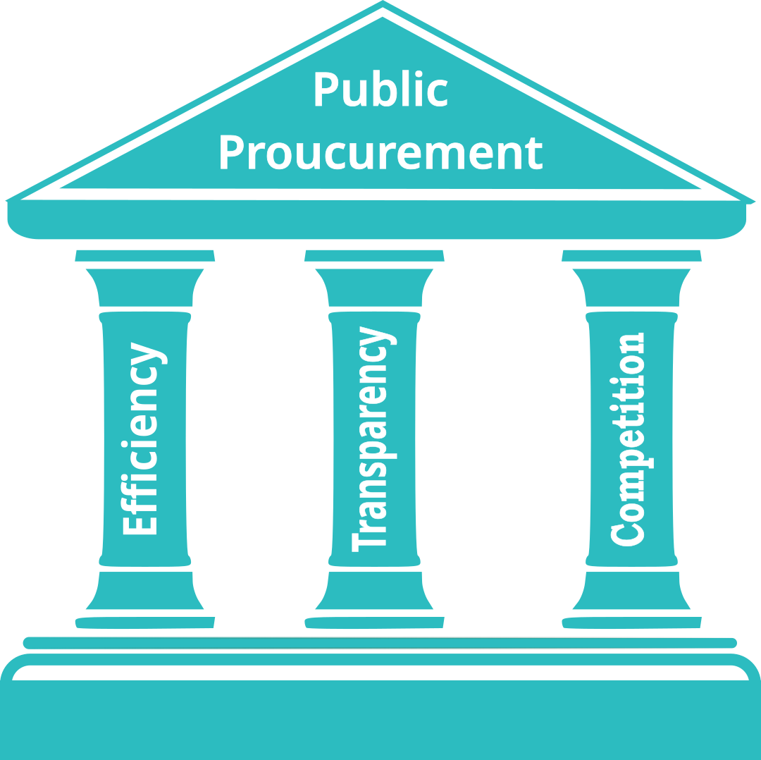 Transparency in Public Procurement